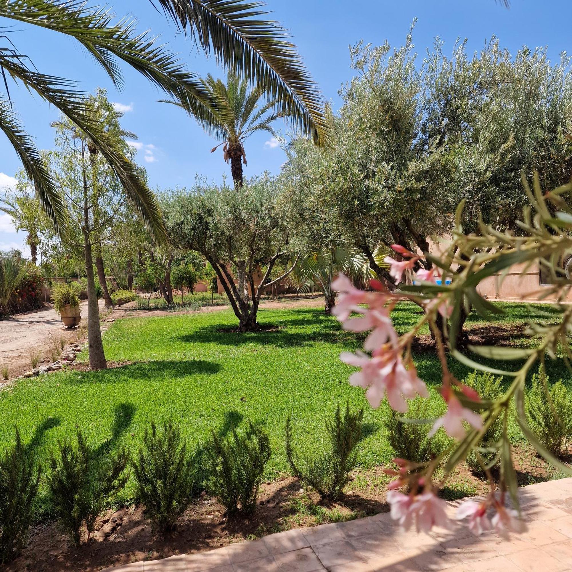 Guest house Dar 55 - Berber House Marrakesh